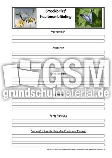 Faulbaumbläuling-Steckbriefvorlage.pdf